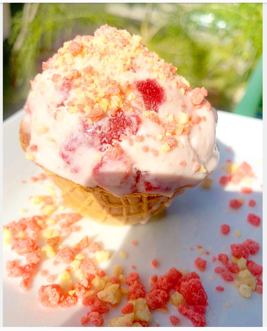 Non-Dairy Ice Cream