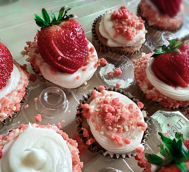 Decadent Frosted Cupcakes
